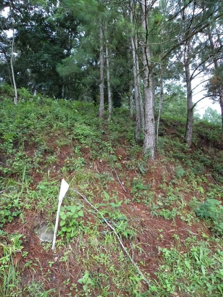 Vendo Terreno en Zona 16 - foto 1