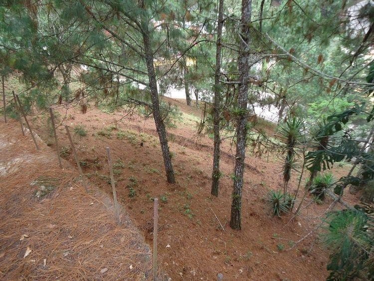 Terreno en venta en Las Cumbres zona 16 Guatemala - foto 1