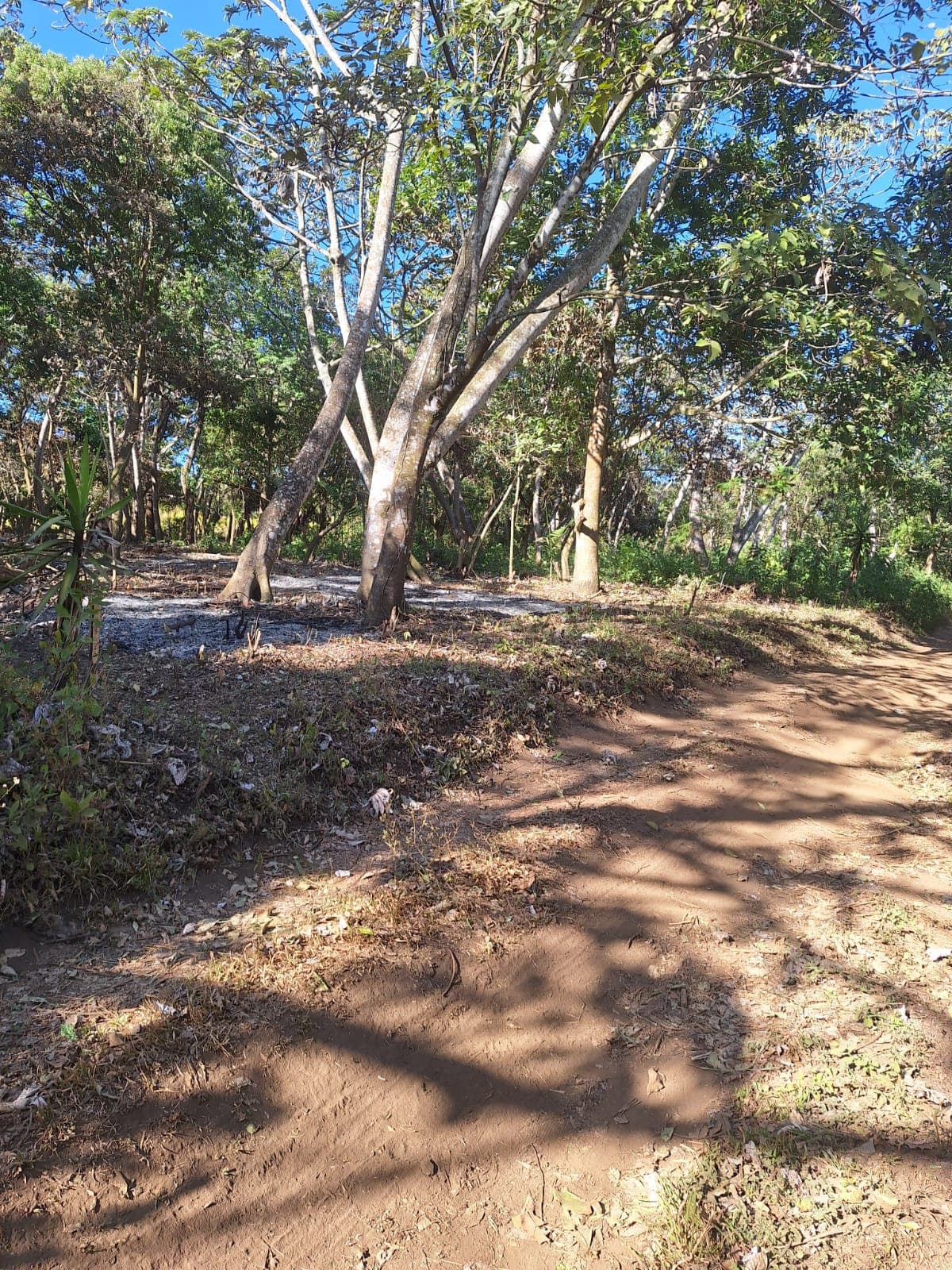 Terreno Residencial en Venta en Condominio de Palín  - foto 1