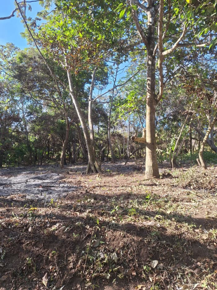 Terreno Residencial en Condominio de Palin Escuintla - foto 1