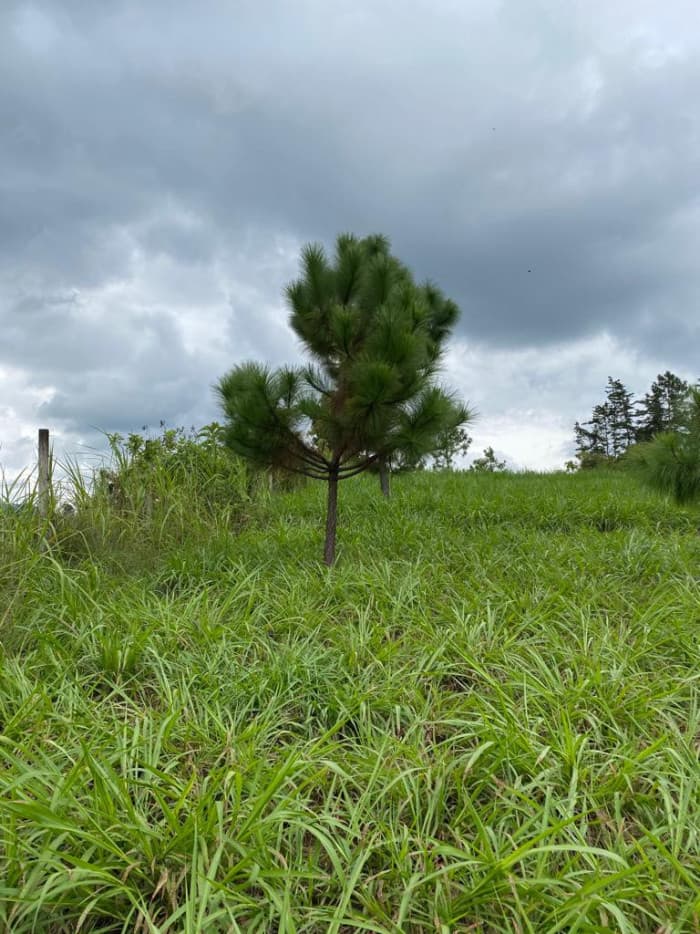 Terreno Comercial en renta en km 57, Chimaltenango - foto 1