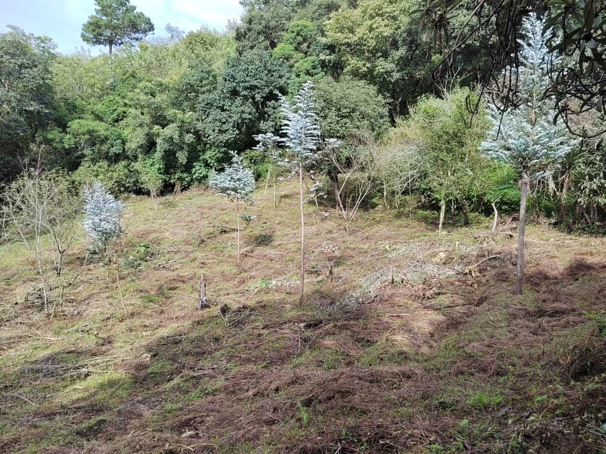 Venta Terreno San Cristobal El Alto Antigua Guatemala - foto 1