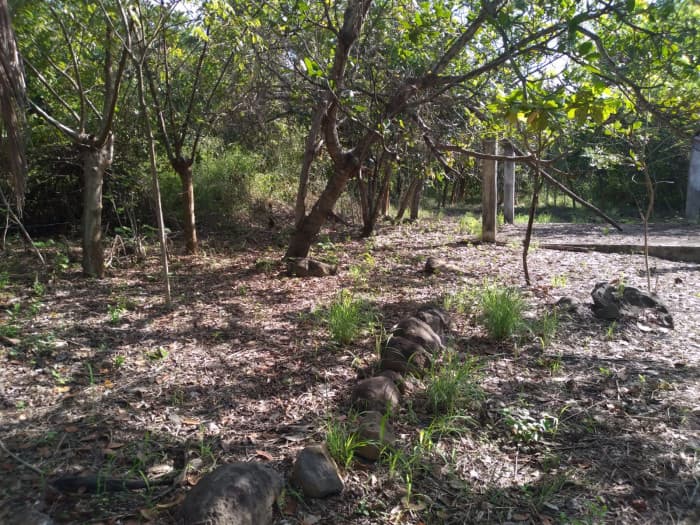 Terreno en Venta en Colinas de Torremolinos Escuintla - foto 1