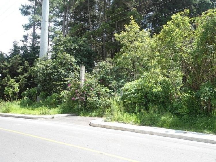 Terreno comercial en renta Carretera a El Salvador - foto 1