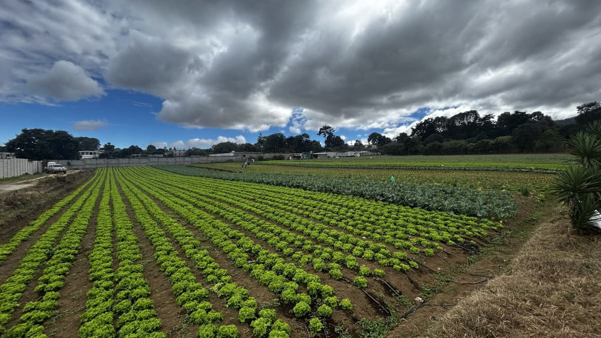 Terreno en Venta en Santo Tomas Milpas Altas - foto 1