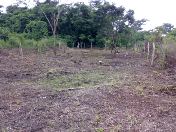 Terreno en venta en Laguna de Torremolinos, Escuintla - foto 1