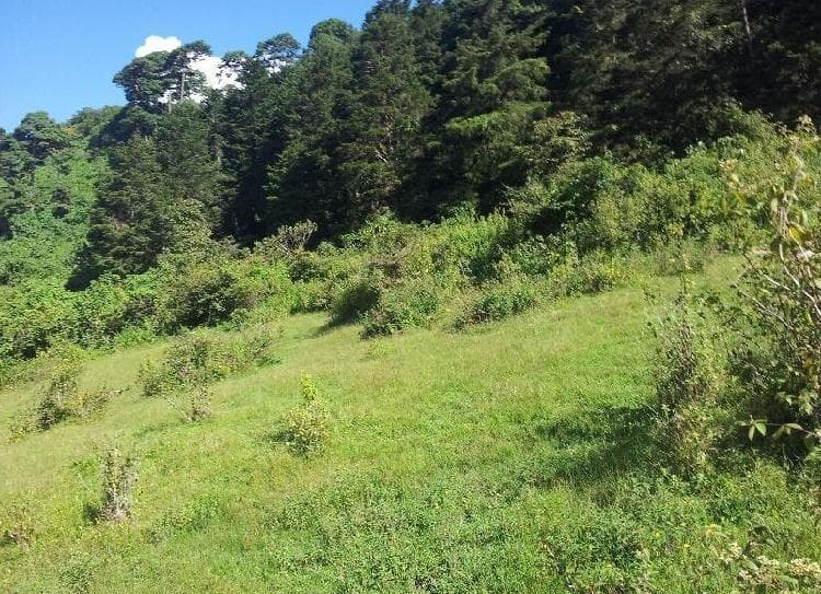 TERRENO EN VENTA EN VISTA HERMOSA IV ZONA 16 GUATEMALA - foto 1
