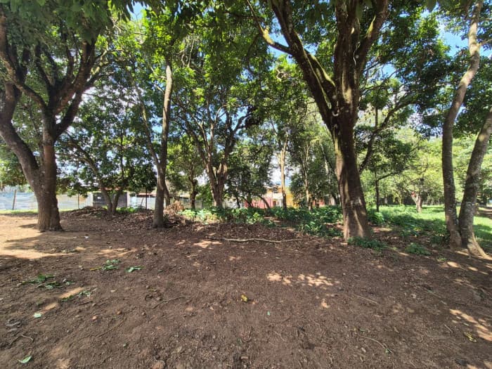 Venta de Terreno en San Lucas Sacatepequez - foto 1