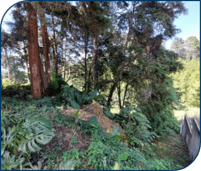 Terreno  en venta Km 18.9, CAES, Santa Catarina Pinula - foto 1
