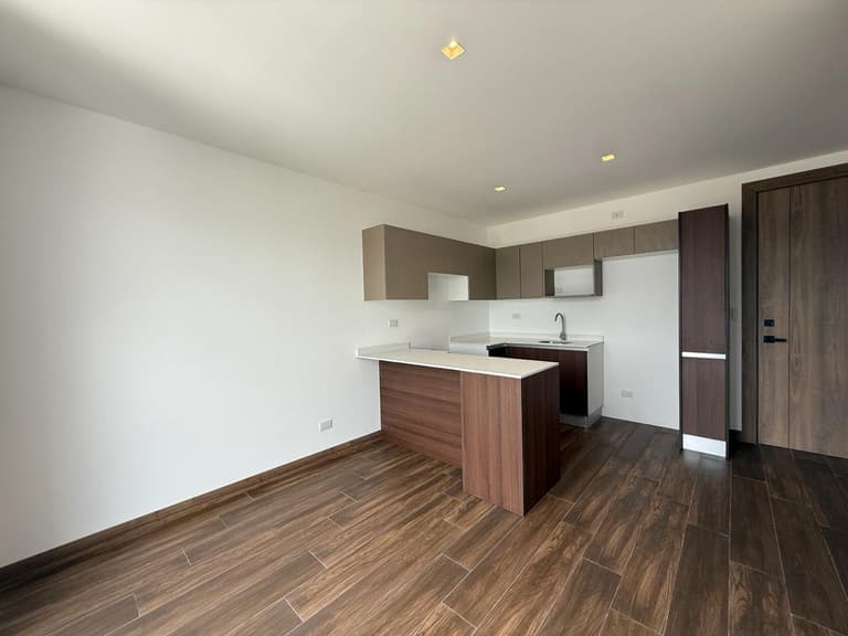 Apartamento en Venta en Zona 15 Vista Hermosa - foto 1