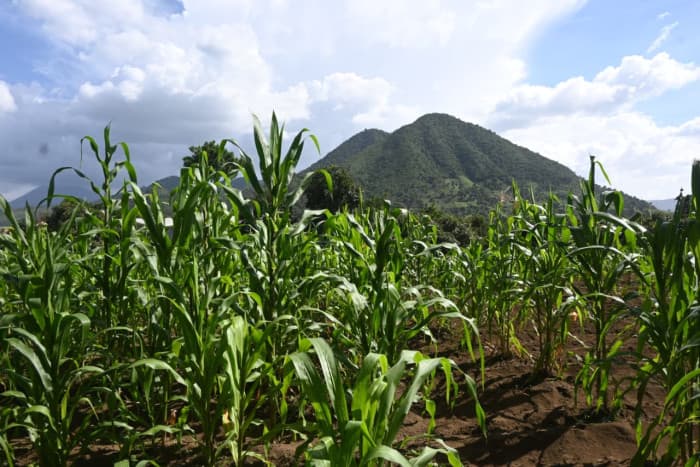 Terreno en venta en Pastores, Sacatepéquez - foto 1