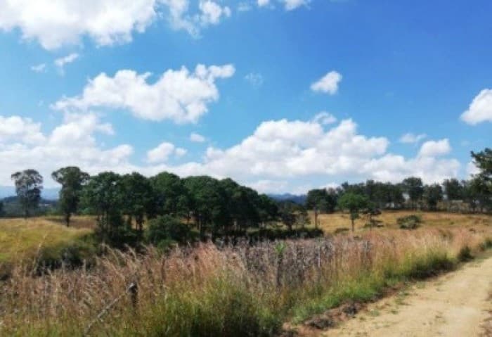CityMax vende terreno San Pedro Sacatepéquez, Chillani - foto 1