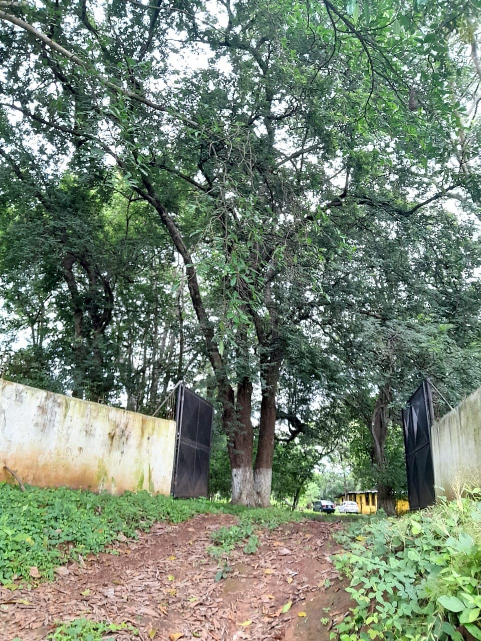 Terreno en renta en Masagua Escuintla - foto 1