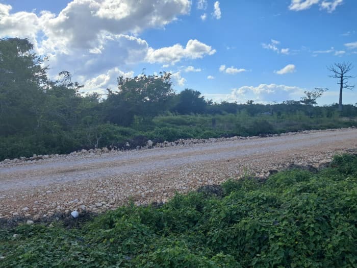 Venta de Terreno Plano en San Benito, Petén. - foto 1