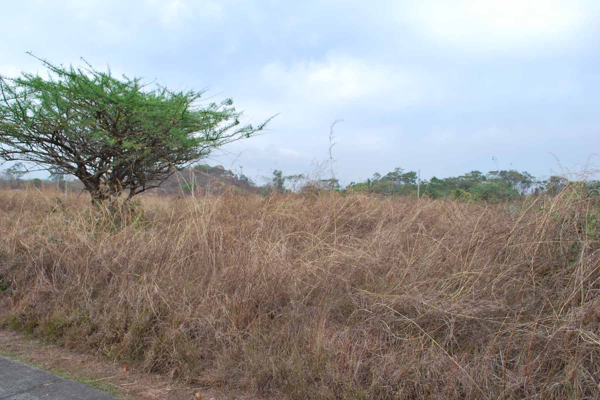 Terreno en venta en Puerto Quetzal - foto 1