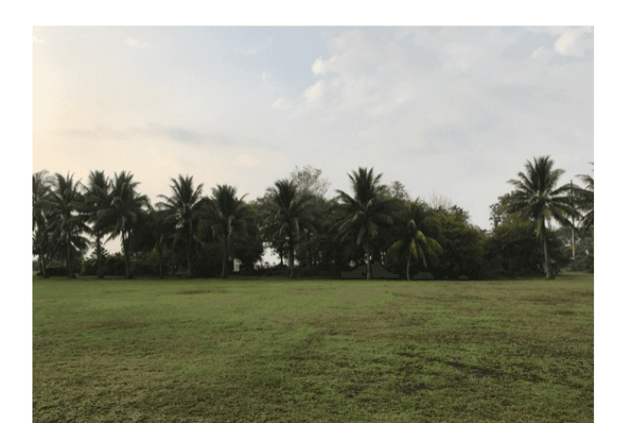 Finca en venta en Masagua Escuintla Guatemala - foto 1