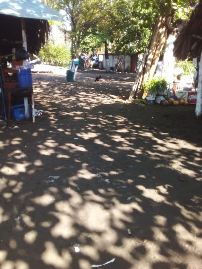 Terreno en renta en Monterrico con acceso a la playa. - foto 1