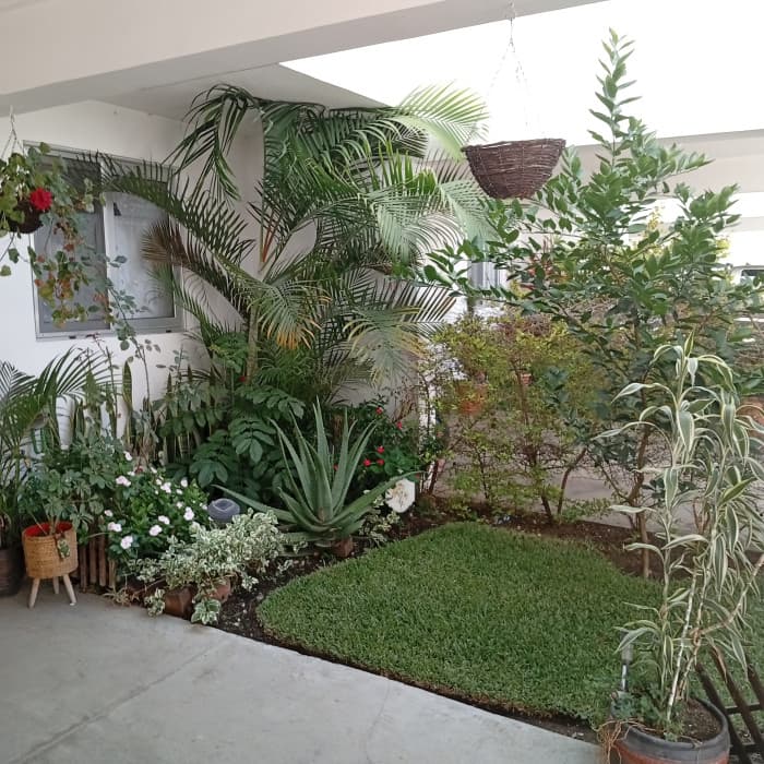 Casa en venta en zona 6 de San Miguel Petapa - foto 1