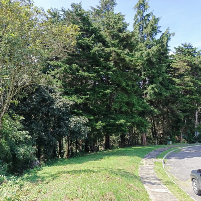 Venta de Terreno Residencial Condominio Monte Cristo - foto 1