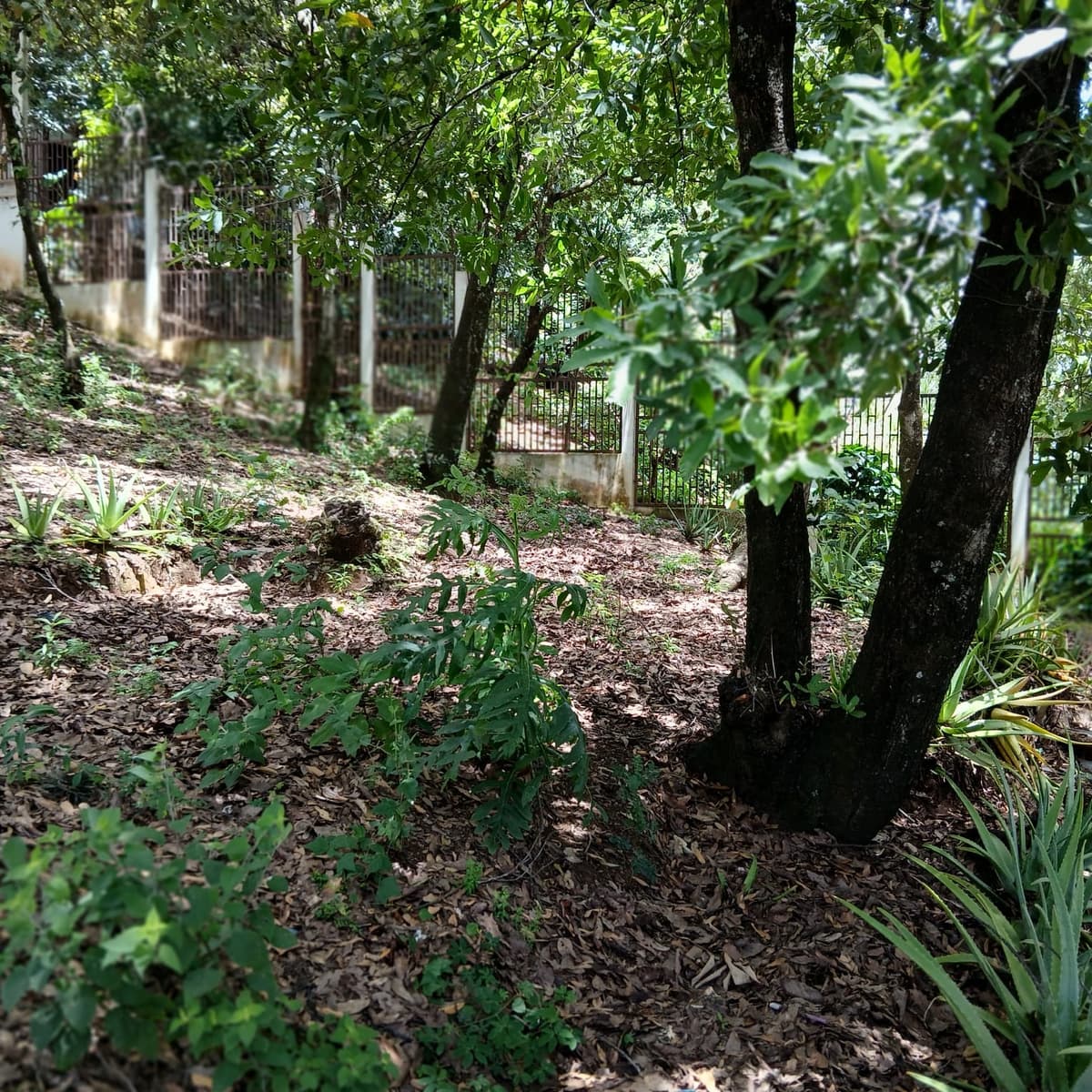 Terreno en venta en Ciudad San Cristobal - foto 1
