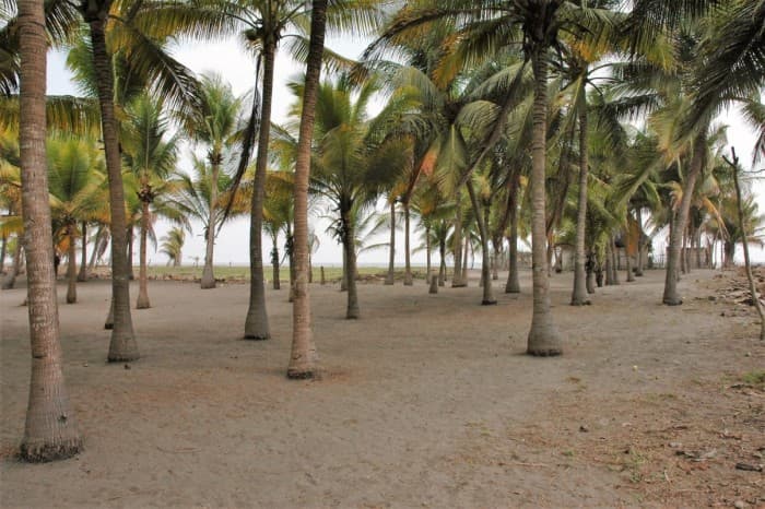 Terreno frente al mar con chalet en venta Playa Tulate - foto 1
