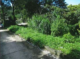Venta de terreno para hotel o viviendas, Villa Canales - foto 1