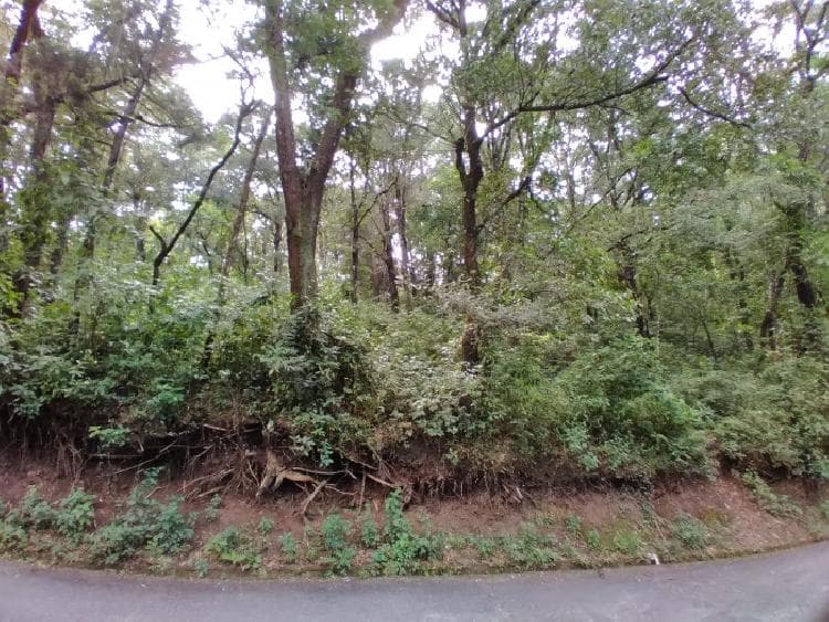 Terreno en venta para inversión Santa Catarina Pinula - foto 2