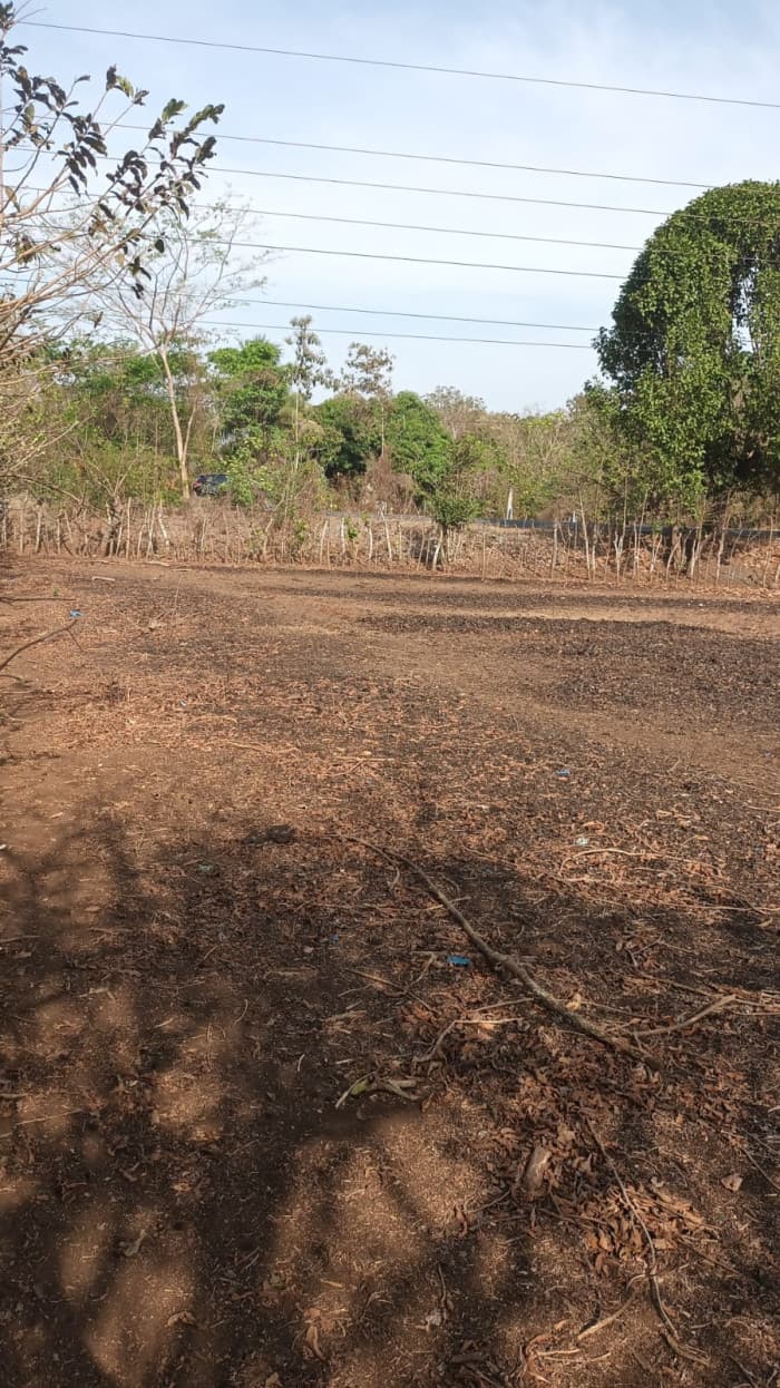 Terreno en venta en carretera a Champerico, Reu - foto 2