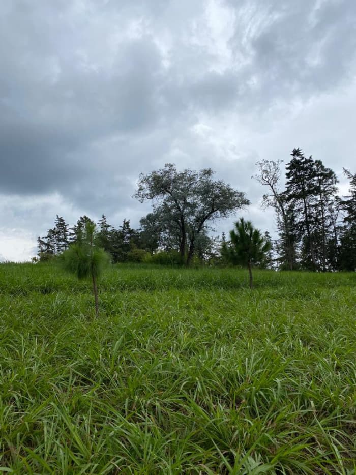 Terreno Comercial en renta en km 57, Chimaltenango - foto 2