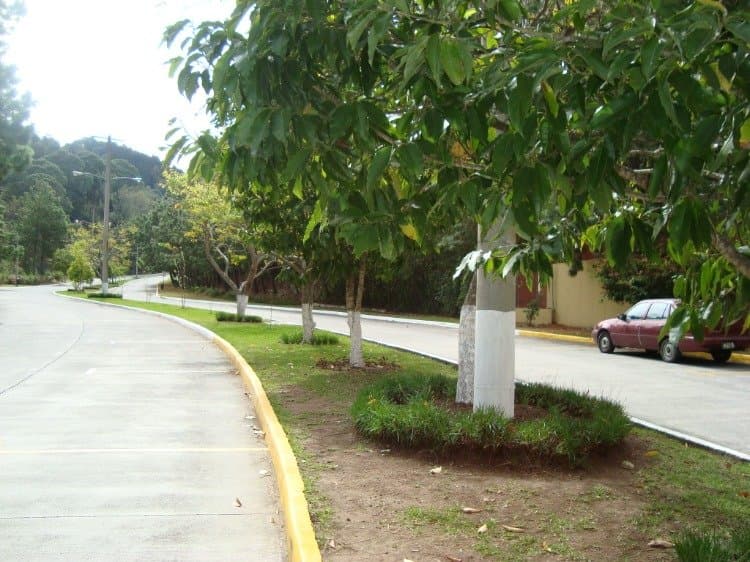 Terreno en venta cerca de Cayala zona 16 Guatemala - foto 3