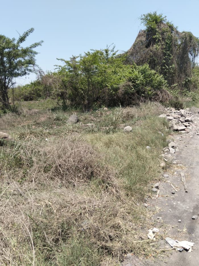 Terreno Comercial en Venta en km 84 a Puerto Quetzal - foto 4