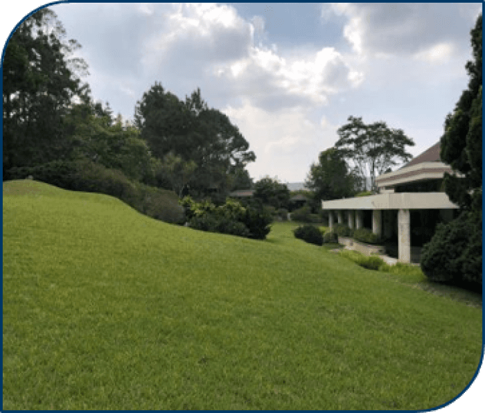 Residencia de Lujo en Venta en Condominio de Muxbal - foto 3