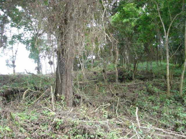 Terreno en venta en Condominio zona 16 Guatemala - foto 3