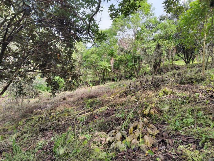 Venta Terreno San Cristobal El Alto Antigua Guatemala - foto 2