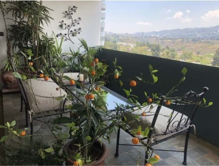 Apartamento amueblado de lujo en alquiler zona 14 - foto 7