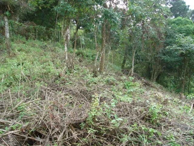Terreno en venta en Las Cumbres zona 16 Guatemala - foto 2