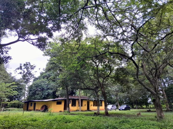 Terreno en renta en Masagua Escuintla - foto 3