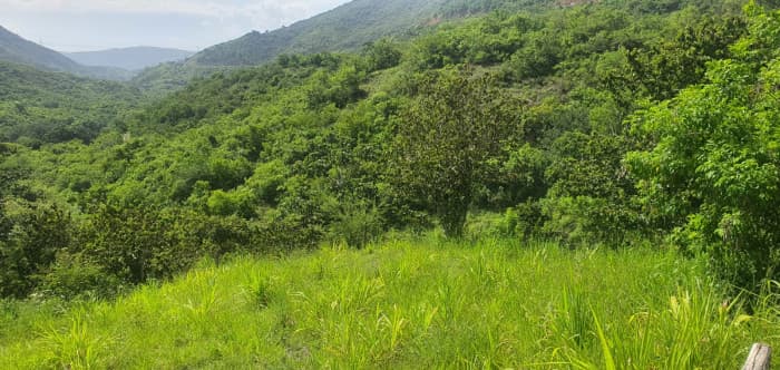 Finca en venta en Sanarate, El Progreso - foto 3