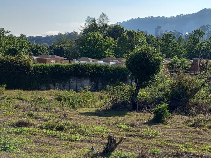 Terreno en Venta en San Jorge Muxbal - foto 4