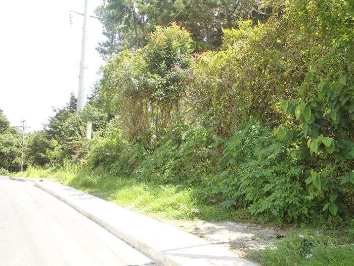 Terreno comercial en renta Carretera a El Salvador - foto 2