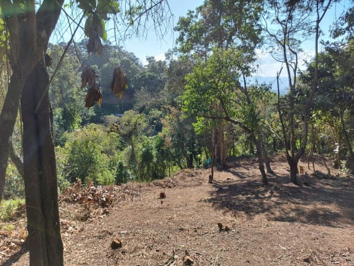 Terreno en Pre-Venta en Santa Rosalía  Guatemala - foto 3
