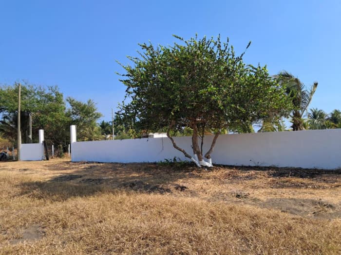 Casa de Playa en Venta Monterrico, Santa Rosa - foto 14