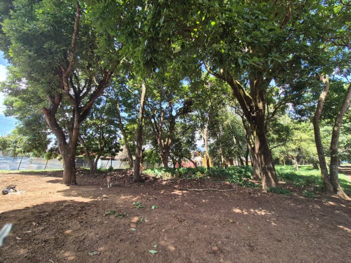 Venta de Terreno en San Lucas Sacatepequez - foto 2
