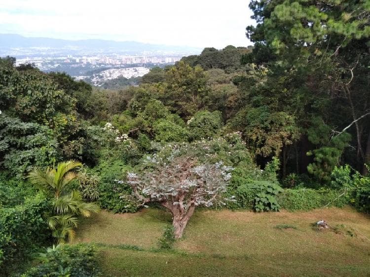 Terreno en venta para inversión Santa Catarina Pinula - foto 4