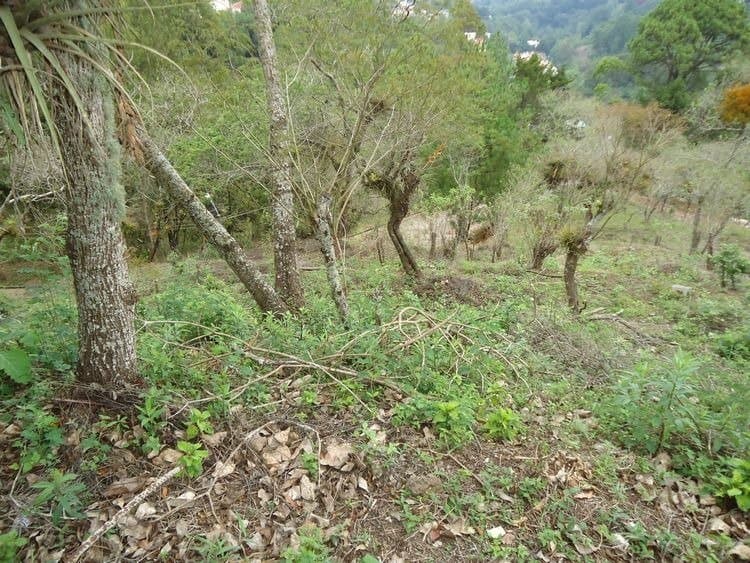 Terreno en venta en Las Cumbres zona 16 Guatemala - foto 3