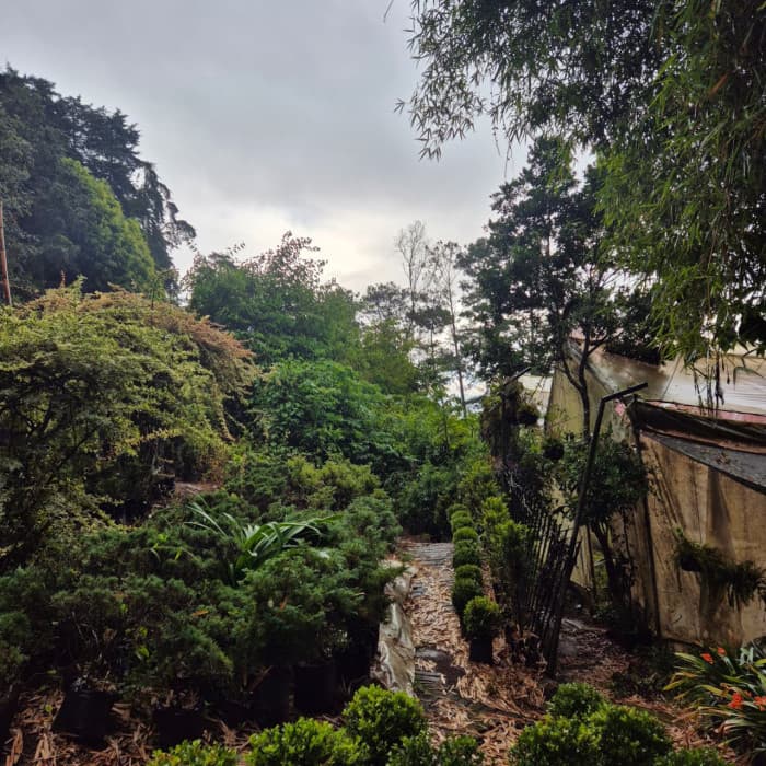 Terreno en venta para desarrollo en San José Pinula  - foto 3