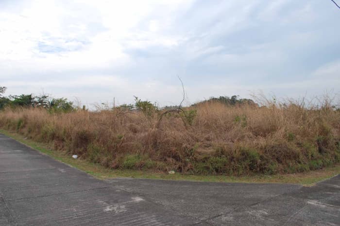 Terreno en venta en Puerto Quetzal - foto 4