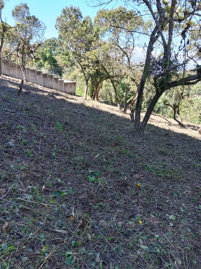 Terreno en Venta en  Condominio Santa Catarina Pinula - foto 3