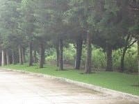 Terreno en venta en Premier Campestre Guatemala - foto 2