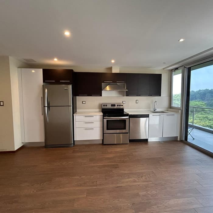 Apartamento en Venta y Renta en zona 16 - foto 4